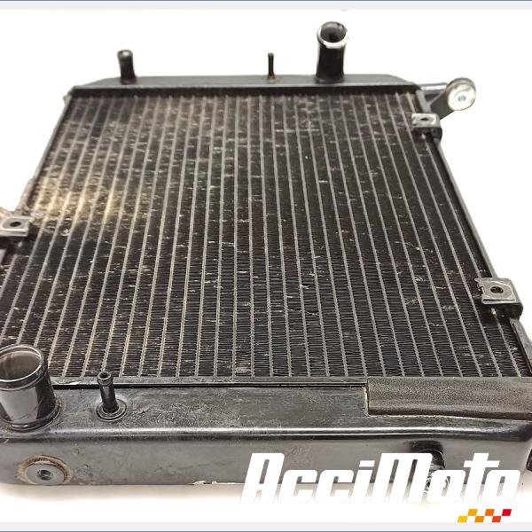 Pièce Moto Radiateur de refroidissement YAMAHA FJR 1300