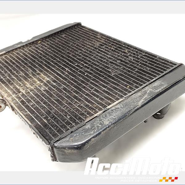 Pièce Moto Radiateur de refroidissement YAMAHA FJR 1300