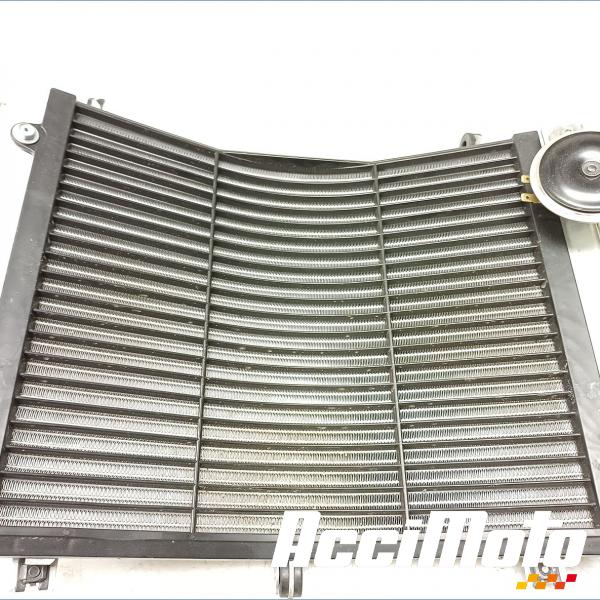 Pièce Moto Radiateur de refroidissement YAMAHA FJR 1300