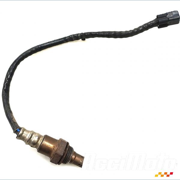 Pièce Moto Sonde lambda YAMAHA FJR 1300