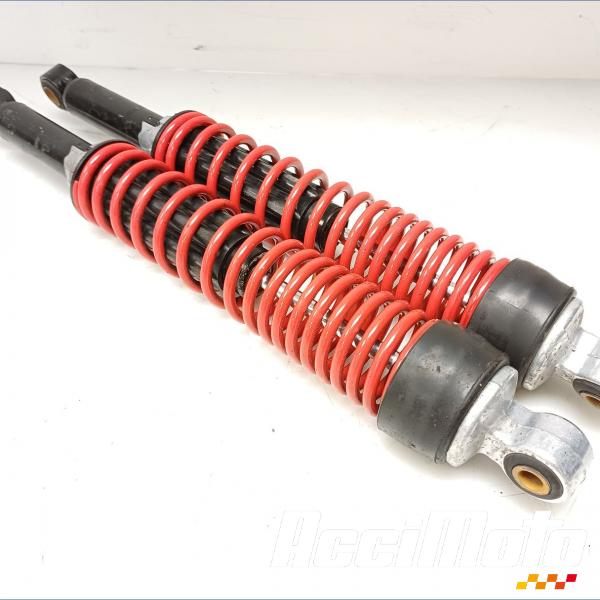 Pièce Moto Amortisseur (la paire) PIAGGIO MP3 300 HPE