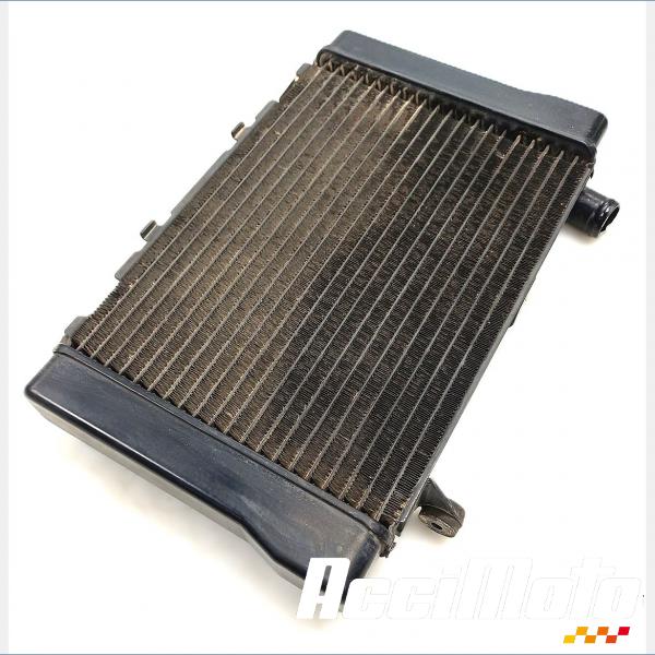 Pièce Moto Radiateur de refroidissement HONDA DEAUVILLE NT700V
