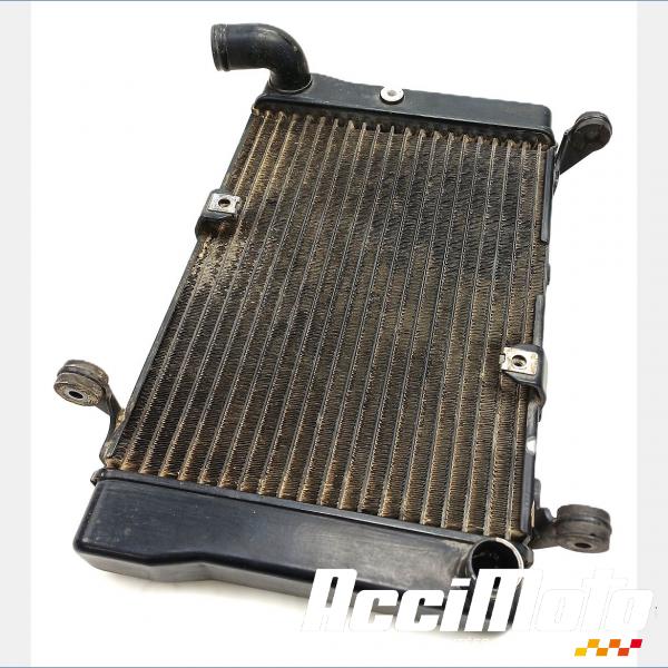 Pièce Moto Radiateur de refroidissement HONDA DEAUVILLE NT700V
