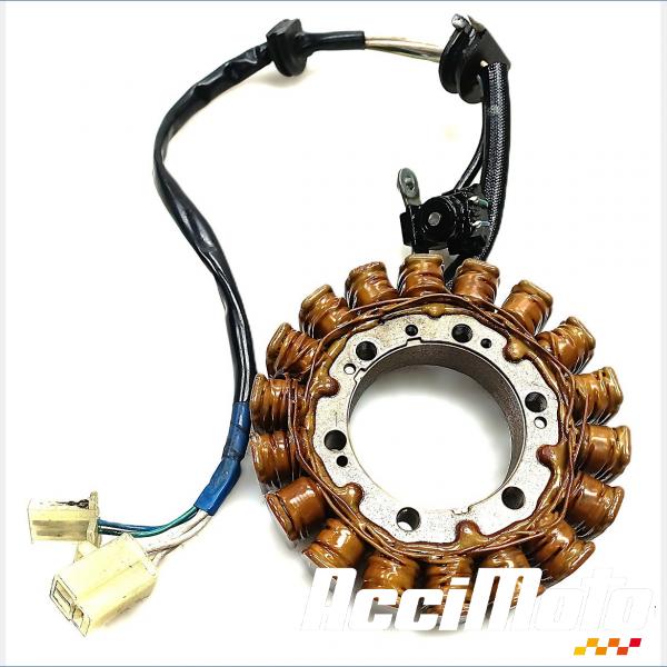 Pièce Moto Stator d'alternateur YAMAHA TDM 850