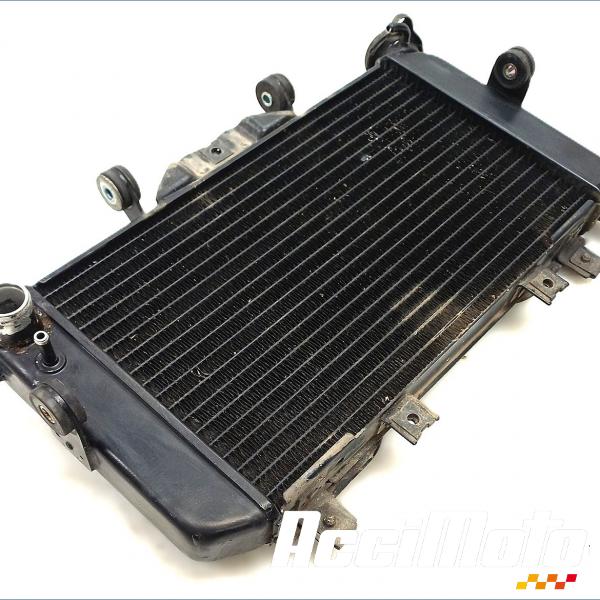 Part Motor bike Radiateur de refroidissement YAMAHA TDM 850