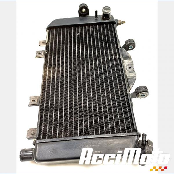 Part Motor bike Radiateur de refroidissement YAMAHA TDM 850
