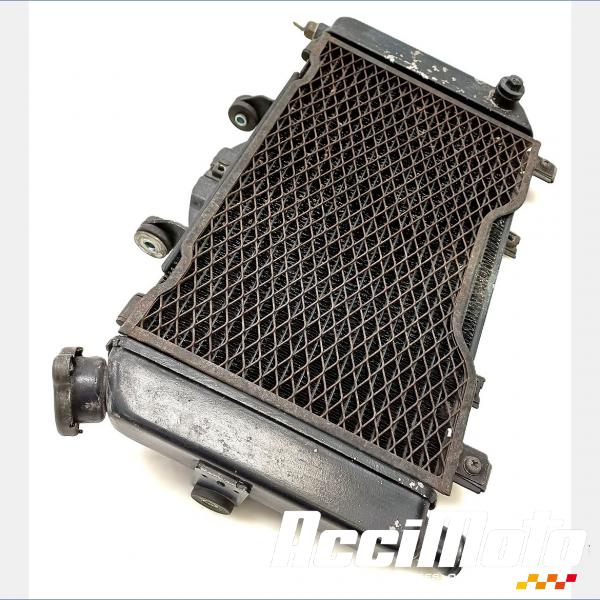 Part Motor bike Radiateur de refroidissement YAMAHA TDM 850