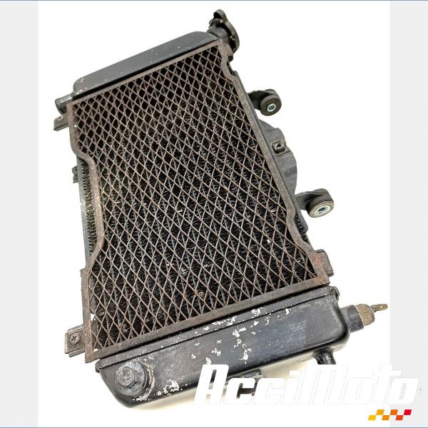 Part Motor bike Radiateur de refroidissement YAMAHA TDM 850