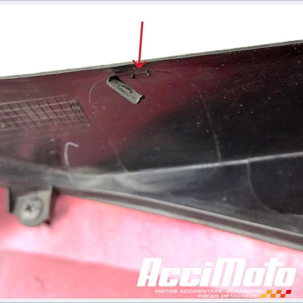 Pièce Moto Flanc de carénage avant (gauche) HONDA CBR1000RR