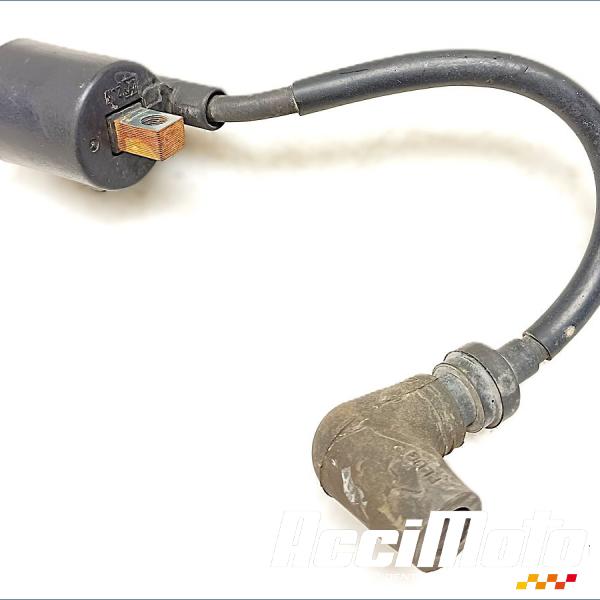 Pièce Moto Bobine d'allumage YAMAHA TDR 125