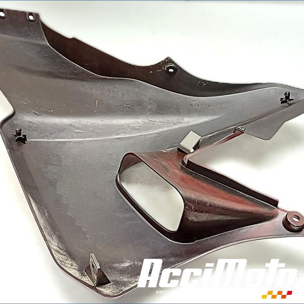 Pièce Moto Flanc de carénage avant (droit) YAMAHA TDR 125