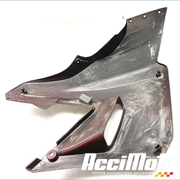 Pièce Moto Flanc de carénage avant (gauche) YAMAHA TDR 125