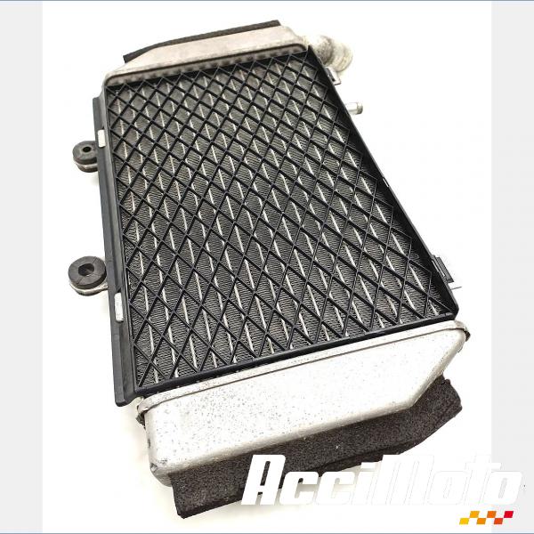 Pièce Moto RADIATEUR REFROIDISSEMENT G HONDA VFR800 VTEC