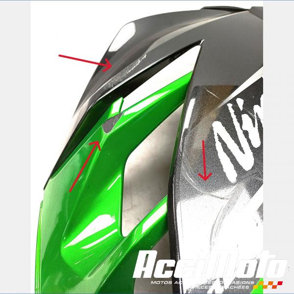 Part Motor bike Flanc de carénage avant (droit) KAWASAKI NINJA EX400