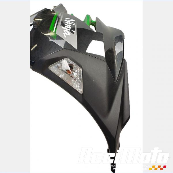 Part Motor bike Flanc de carénage avant (droit) KAWASAKI NINJA EX400