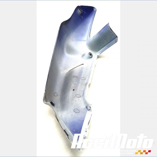 Pièce Moto Coque arrière (droite) HONDA CBR919