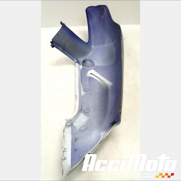 Pièce Moto Coque arrière (gauche) HONDA CBR919