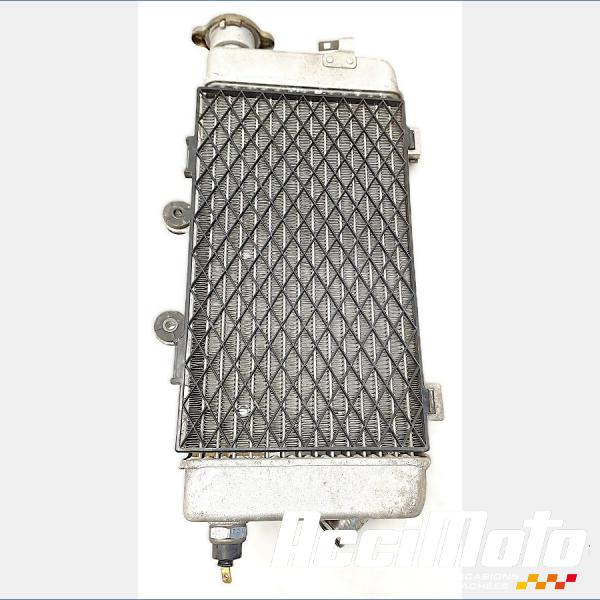 Pièce Moto RADIATEUR REFROIDISSEMENT D HONDA VARADERO XL1000V