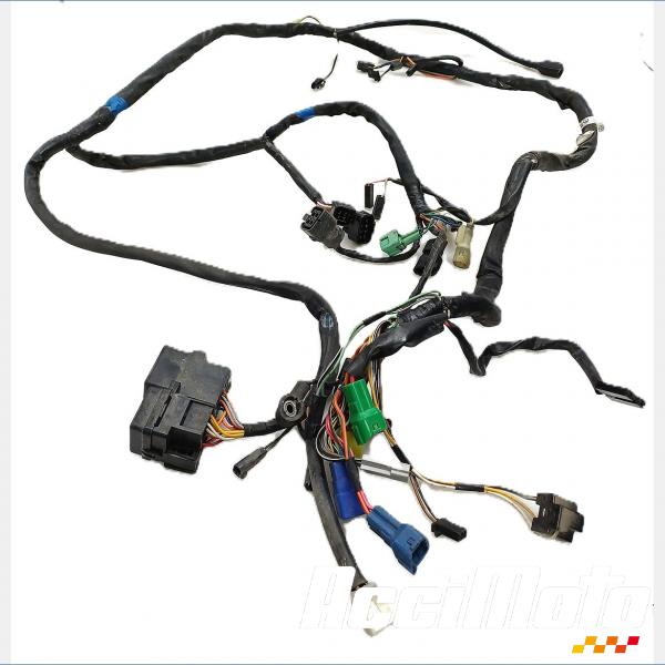 Pièce Moto Faisceau électrique (principal) SUZUKI BANDIT GSF600N