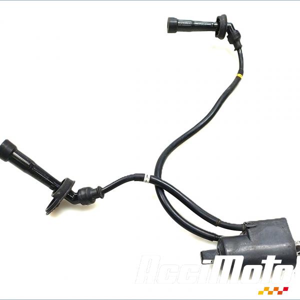 Pièce Moto Bobine d'allumage (1/4) SUZUKI BANDIT GSF600N