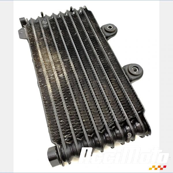 Pièce Moto Radiateur d'huile SUZUKI BANDIT GSF600N