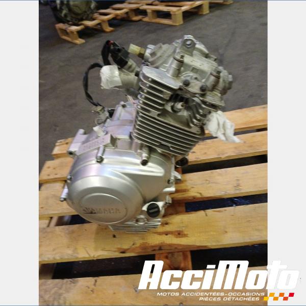 Pièce Moto Moteur YAMAHA YBR 125