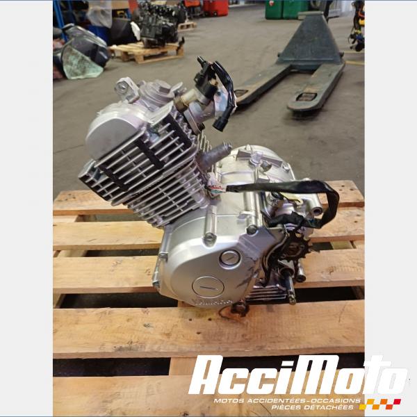 Pièce Moto Moteur YAMAHA YBR 125