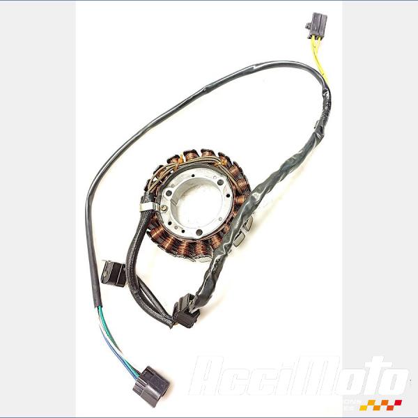 Pièce Moto Stator d'alternateur SUZUKI FREEWIND XF650