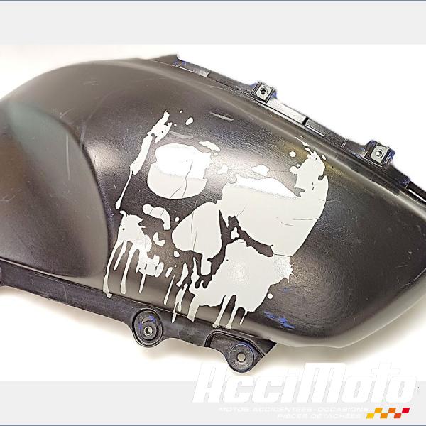 Pièce Moto Flanc de carénage avant (droit) SUZUKI FREEWIND XF650