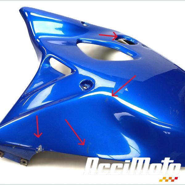 Pièce Moto Kit carénages SUZUKI SV 650S