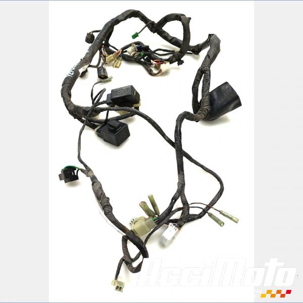 Pièce Moto Faisceau électrique (principal) YAMAHA YZF 600R THUNDERCAT 