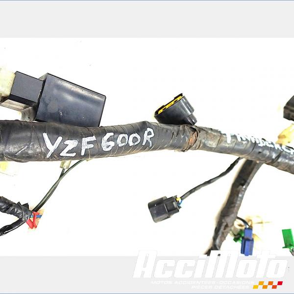 Pièce Moto Faisceau électrique (principal) YAMAHA YZF 600R THUNDERCAT 