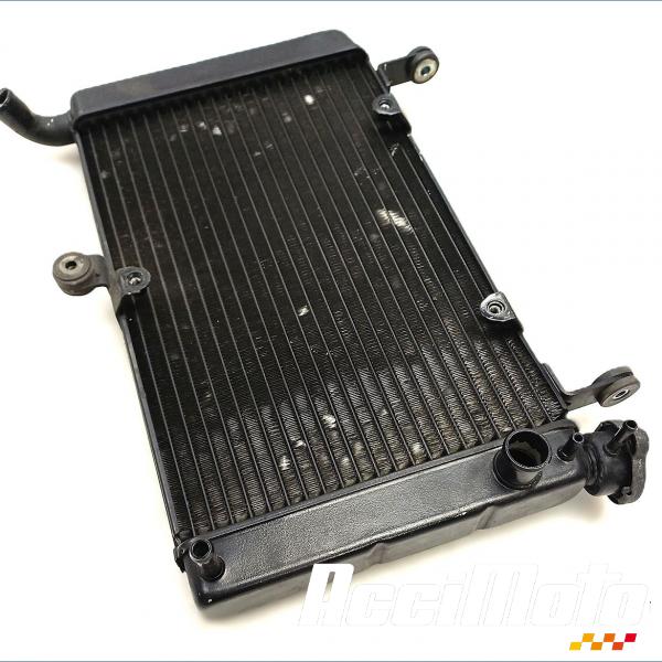 Pièce Moto Radiateur de refroidissement YAMAHA YZF 600R THUNDERCAT 