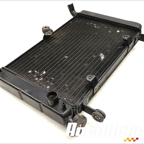 Pièce Moto Radiateur de refroidissement YAMAHA YZF 600R THUNDERCAT 
