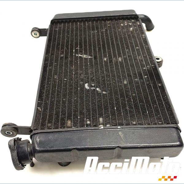 Pièce Moto Radiateur de refroidissement YAMAHA YZF 600R THUNDERCAT 