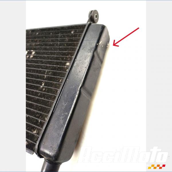 Pièce Moto Radiateur de refroidissement YAMAHA YZF 600R THUNDERCAT 