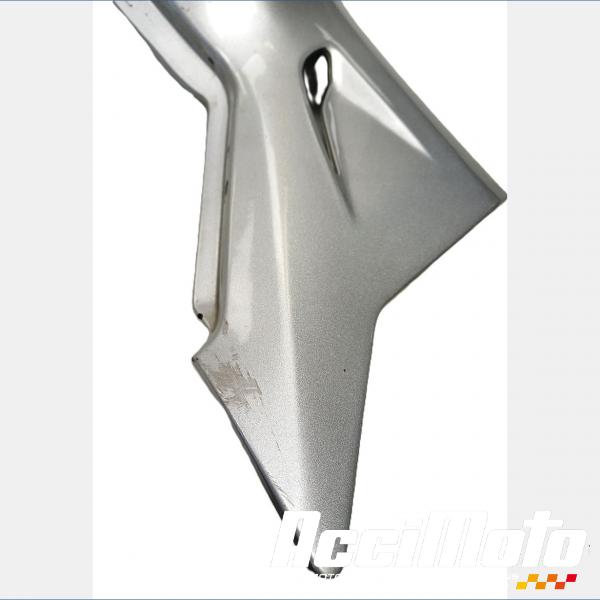Pièce Moto Coque arrière (gauche) YAMAHA YZF 600R THUNDERCAT 