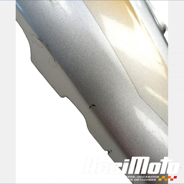 Pièce Moto Coque arrière (gauche) YAMAHA YZF 600R THUNDERCAT 