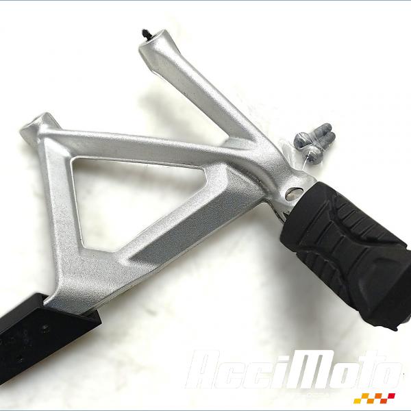 Pièce Moto Platine repose-pied arrière (droit) BMW R1250 GS