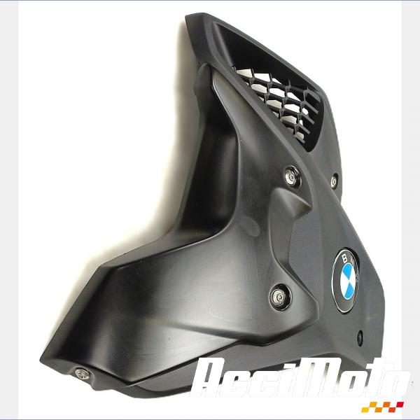 Pièce Moto Flanc de carénage avant (gauche) BMW R1250 GS