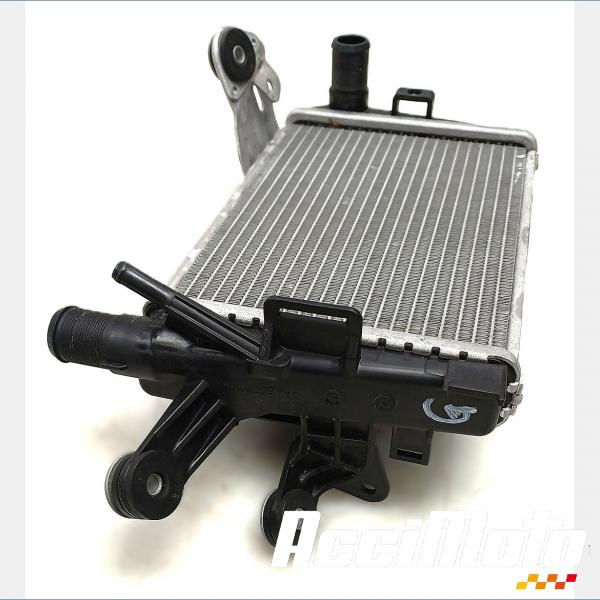 Pièce Moto RADIATEUR REFROIDISSEMENT G BMW R1250 GS