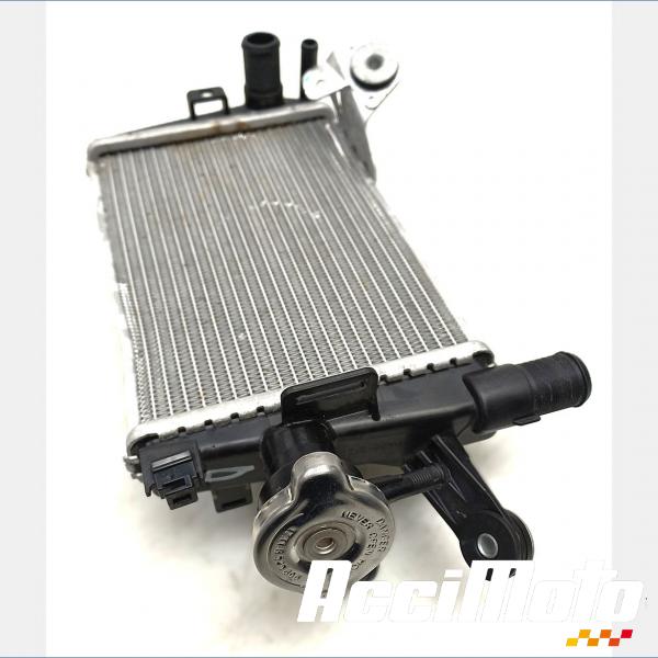 Pièce Moto RADIATEUR REFROIDISSEMENT D BMW R1250 GS