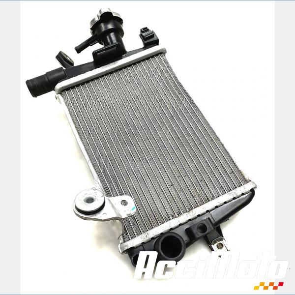 Pièce Moto RADIATEUR REFROIDISSEMENT D BMW R1250 GS