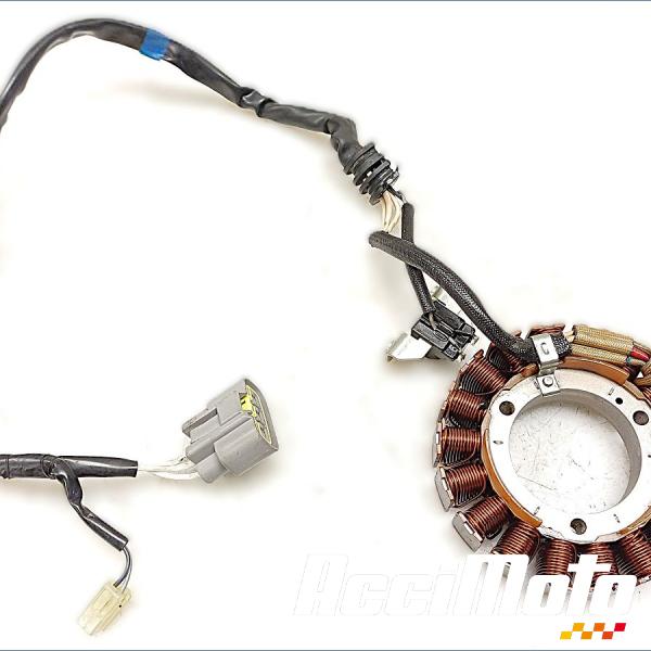 Pièce Moto Stator d'alternateur YAMAHA XTZ TENERE 700