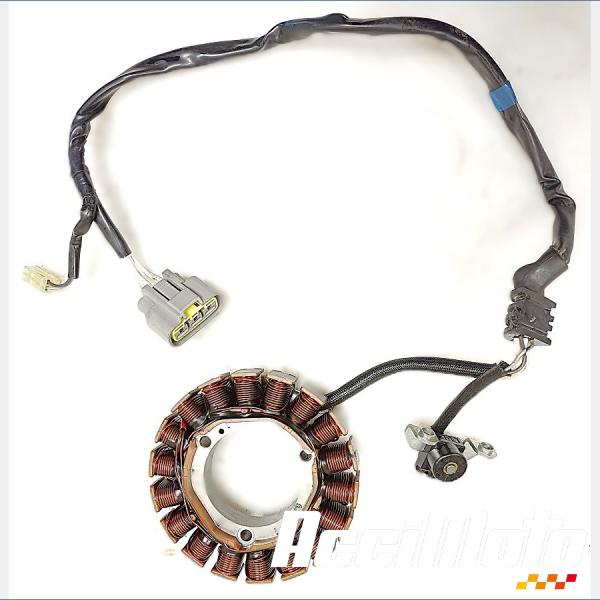 Pièce Moto Stator d'alternateur YAMAHA XTZ TENERE 700