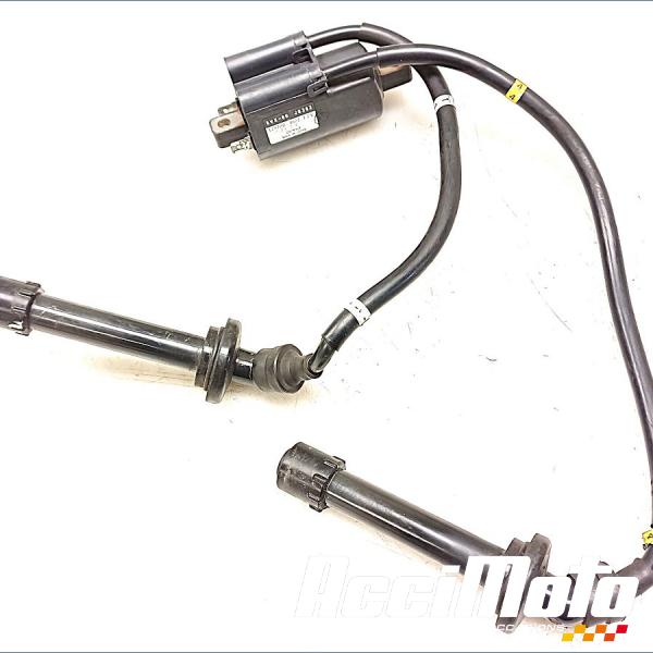 Part Motor bike Bobine d'allumage (1/4) YAMAHA FZ6 S FAZER