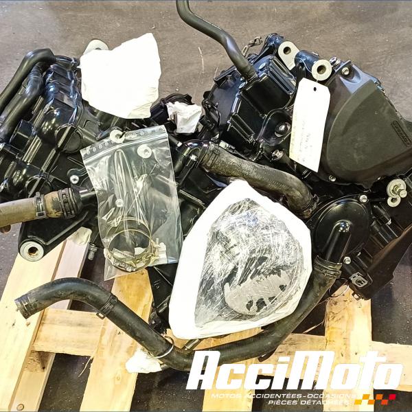 Pièce Moto Moteur TRIUMPH SPEED TRIPLE 1050 R