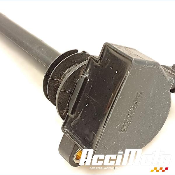 Part Motor bike Bobine crayon HARLEY DAVIDSON NIGHT ROD SPECIAL VRSCDX