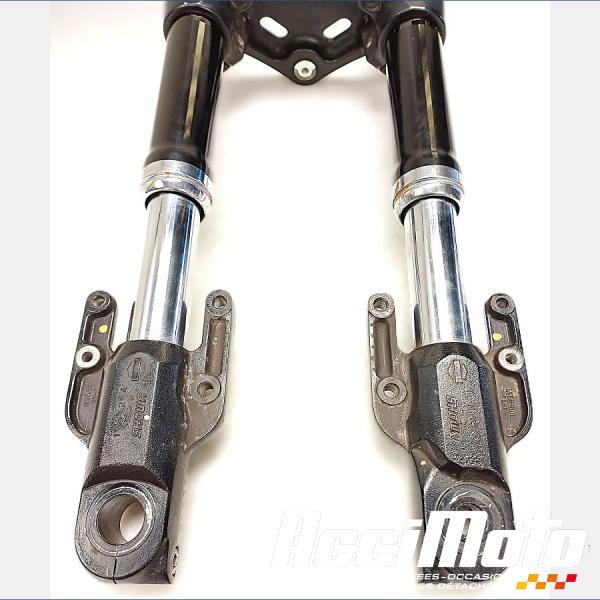 Pièce Moto Fourche complète HARLEY DAVIDSON NIGHT ROD SPECIAL VRSCDX