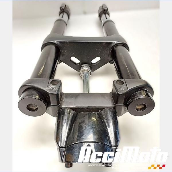 Pièce Moto Fourche complète HARLEY DAVIDSON NIGHT ROD SPECIAL VRSCDX